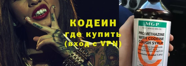 гидра Абаза