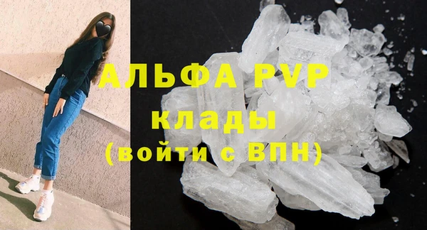 гидра Абаза