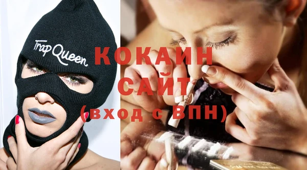 кокс Алексин