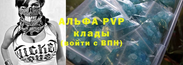гидра Абаза