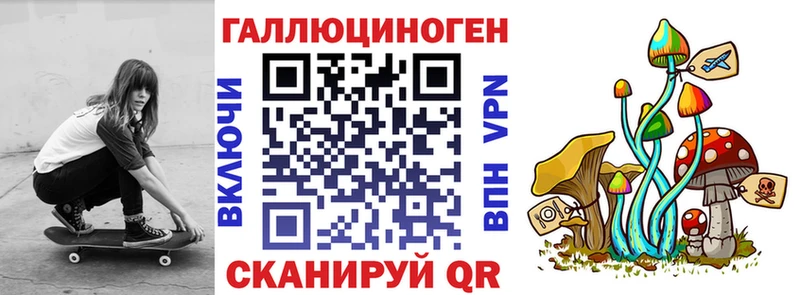 OMG онион  нарко площадка телеграм  Галлюциногенные грибы Psilocybine cubensis  Котово 